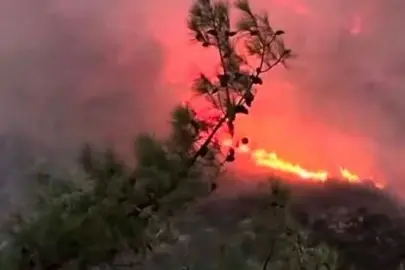 Antalya'da alevler yükseldi: Ekipler havadan karadan müdahale ediyor