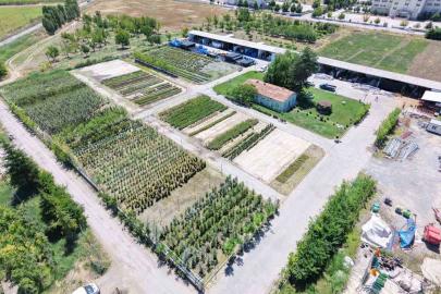 Battalgazi Belediyesi parklarda kendi üretimini kullanıyor
