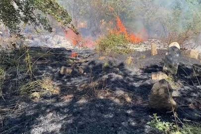 Bitlis’te peş peşe çıkan yangınlar paniğe neden oldu