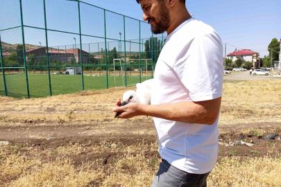 Defalarca yuvadan düşen yavru leylek doğaya bırakıldı
