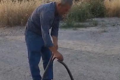 Muhtar, evlere giren yılanları eliyle yakalayıp doğaya bırakıyor