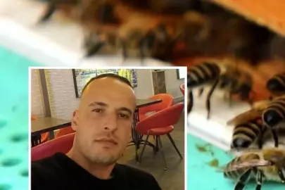 Şah damarından arı soktu: 2 gün sonra hayatını kaybetti