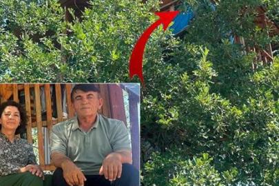 150 yıllık meşe ağacının üzerinde sıra dışı sığınak! Bir daire fiyatına mal oldu
