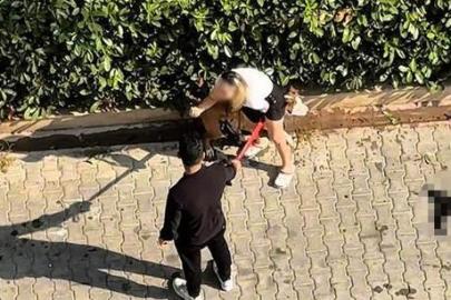 Adana’da Pitbull dehşeti! Kediyi parçaladı: Sahibi 'polisi aramayın' diye yalvardı