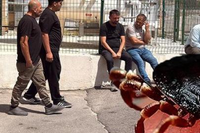 Bir ailenin kabusu oldu! Aynı aileden ikinci can kaybı