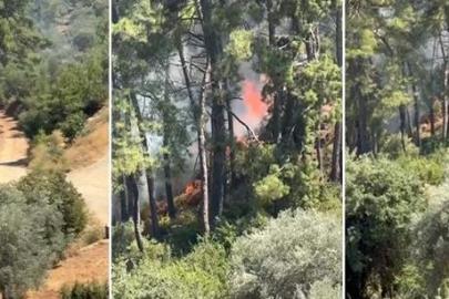 Muğla Fethiye'de orman yangını çıktı