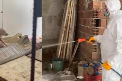 Pire istilası mahalleyi canından bezdirdi! Ekiplerin gördükleri şaşkına çevirdi
