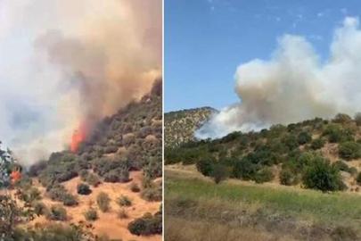 Balıkesir'de orman yangını! Havadan karadan müdahale