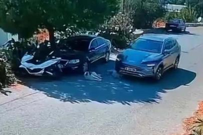 Bodrum’da tepki çeken görüntü! Otomobil 2 köpeğin üzerinden geçti, sürücü yoluna devam etti