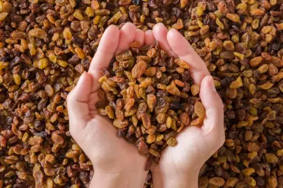 Çekirdeksiz kuru üzüm fiyatları belli oldu... Alımlar 15 Eylül'de başlıyor