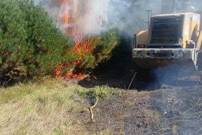 Düzce’de fındık bahçesinde yangın!