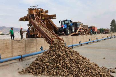 Elazığ Şeker Fabrikası’nda 71. Kampanya Dönemi açıldı: 240 bin ton pancar işlenecek