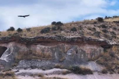 Kırşehir’de ortaya çıktı! Böyle görüntülendi