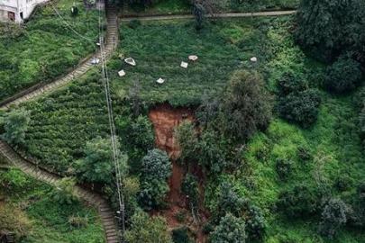 Rize’de selin ardından hayat normale dönüyor! Çamurun içinde çay hasadı