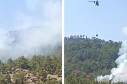Son dakika... Adana Kozan’da orman yangını