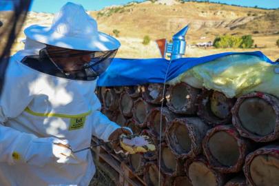 Tunceli’de bal sağımı başladı: 900 tonun üzerinde üretim bekleniyor
