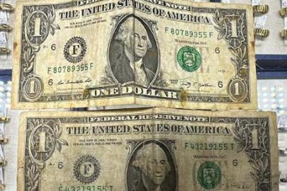 Alihan Kuriş suç örgütü soruşturmasında yeni gelişme! Çelik kasada F serisi 5 adet 1 dolar bulundu