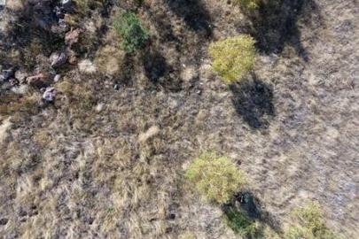 Erzurum'da 93 Harbi'nin unutulan kahramanları! 7 kardeşin mezarı otların arasında